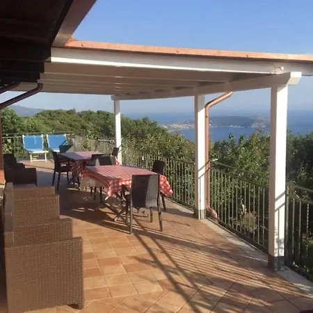 Mimosa * Pisciotta